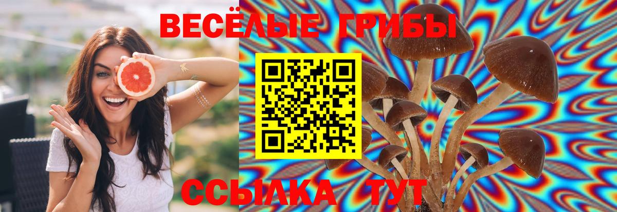 Галлюциногенные грибы мухоморы  Вход с VPN  Уссурийск 