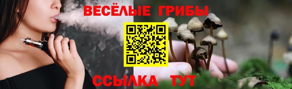 Псилоцибиновые грибы ЛСД Уссурийск
