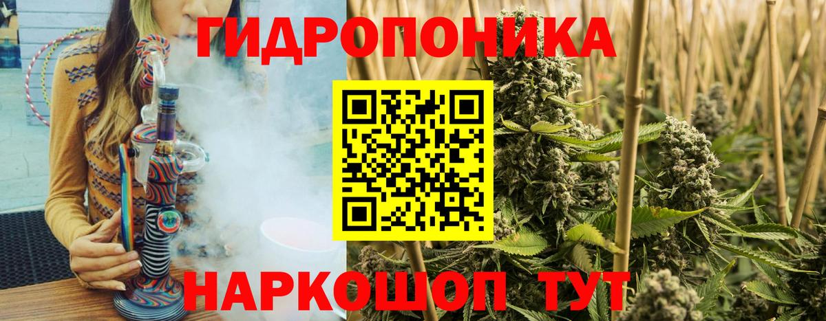 Конопля AK-47  Вход с VPN  Конопля семена  Уссурийск 